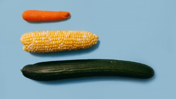 Différentes tailles d'un membre masculin dans l'exemple des légumes. 